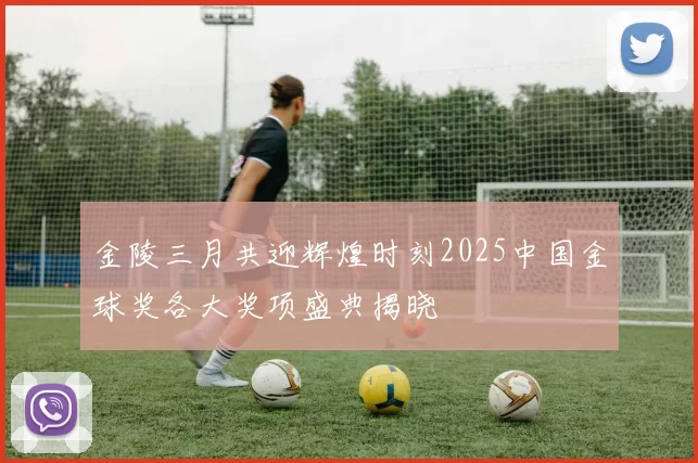 金陵三月共迎辉煌时刻2025中国金球奖各大奖项盛典揭晓