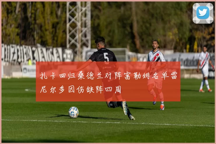 扎卡回归桑德兰对阵富勒姆名单雷尼尔多因伤缺阵四周