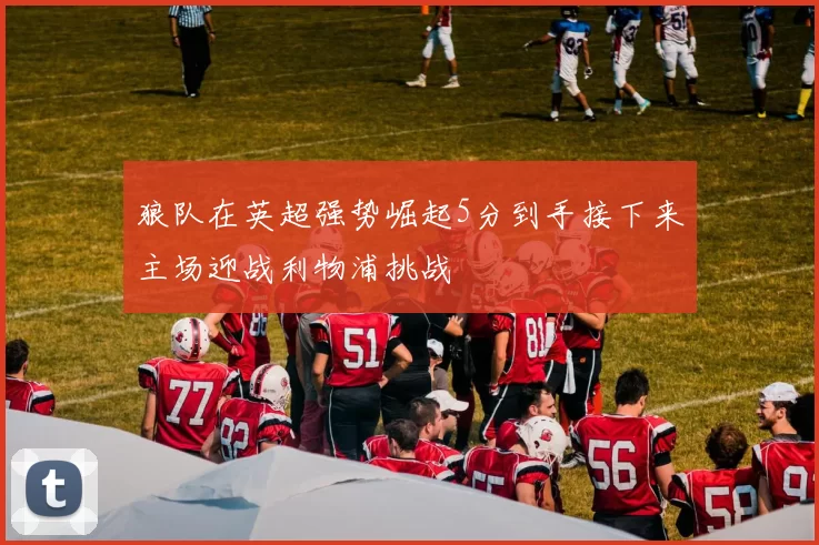狼队在英超强势崛起5分到手接下来主场迎战利物浦挑战